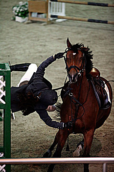 竞争者,落下,马,跳起,地区性,竞争,骑马,内景,多哈,卡塔尔