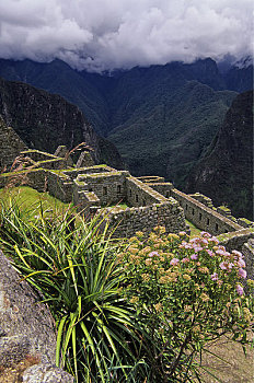 秘鲁,圣谷,马丘比丘,智慧,地区