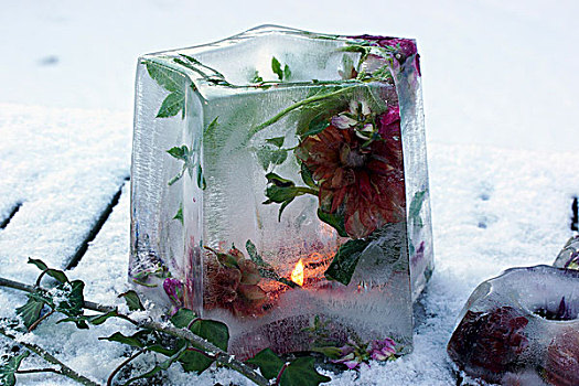 冰,灯笼,冰冻,花,雪,地面
