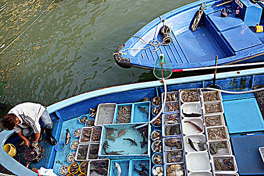 海鲜,销售,码头,香港