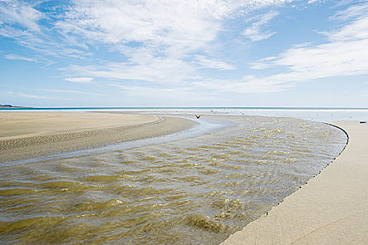 海滩,北国,新西兰