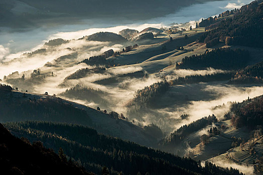 风景,南,方向,山谷,清晨,雾,黑森林,巴登符腾堡,德国,欧洲