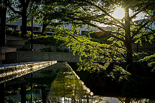 沃斯堡,水之庭院,fort,worth,water,gardens