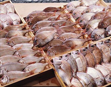 红海,铜盆鱼,木质,板条箱