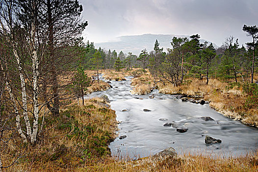 湍流,罗加兰郡,挪威,欧洲