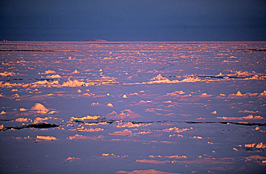 南极,威德尔海,浮冰,午夜,阳光