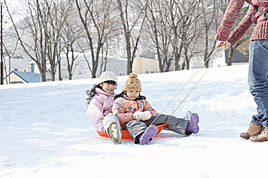 孩子,雪橇运动