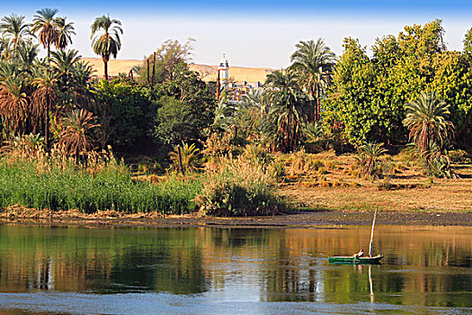 非洲,乡村,荒芜,河,尼罗河,靠近,阿斯旺,埃及