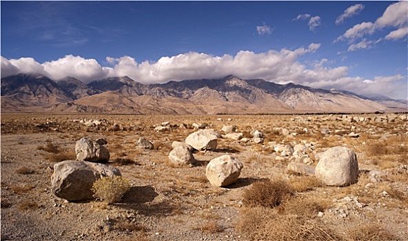 棉白杨,山,死谷,荒漠景观