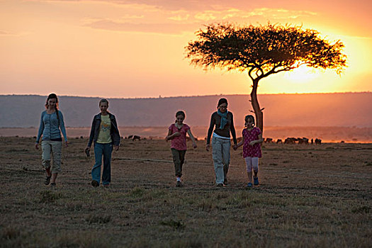 日落,马赛马拉,肯尼亚,非洲