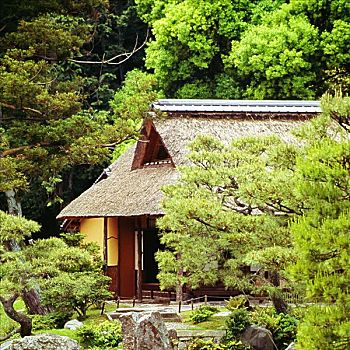 房子,花园,京都,日本