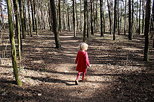 小,红色,衣服,女孩,树林