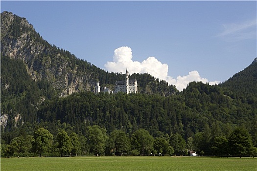 全景,城堡,新天鹅堡,巴伐利亚阿尔卑斯山