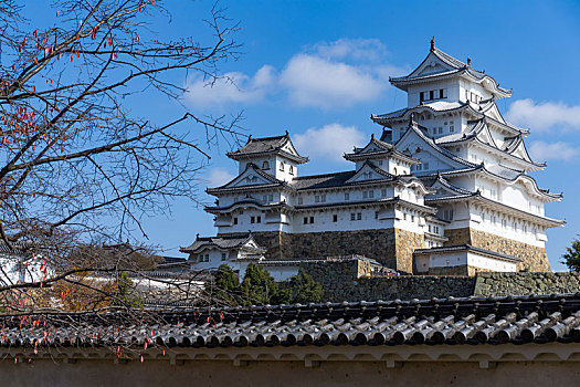 传统,日本,白色,姬路城堡