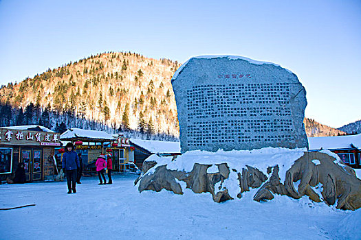 雪乡,双峰林场,村庄,风景,白天,黑龙江,牡丹江