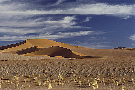 沙漠,索苏维来地区,纳米比亚