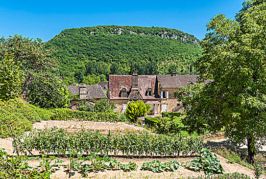 法国,标签,漂亮,乡村,菜园