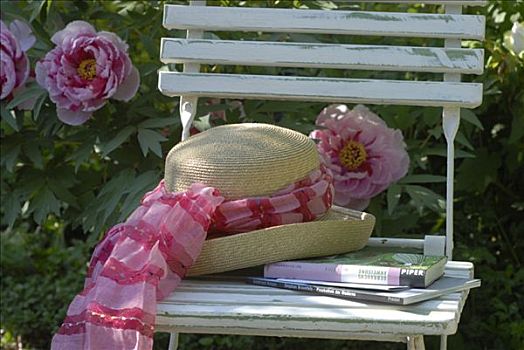 太阳帽,花园椅,正面,牡丹