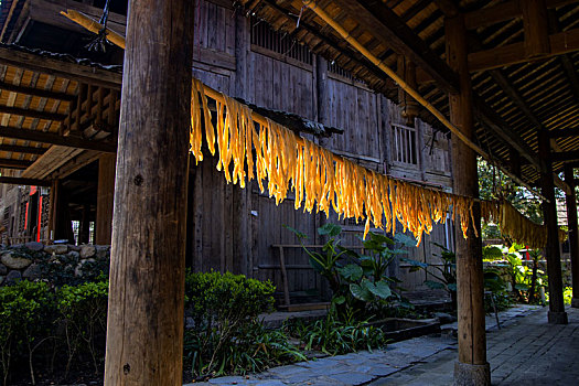 腐竹传统制作