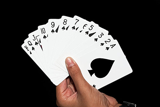 纸牌,比赛,一手牌,黑桃,满