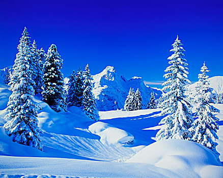 冬季风景,奥地利