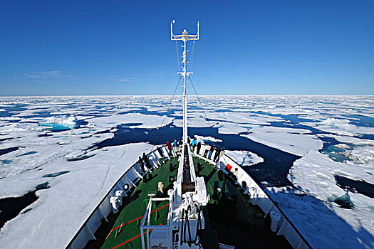 探险,船,格陵兰,海洋,北冰洋,北极