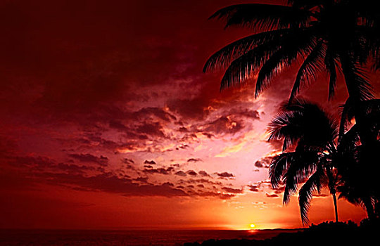夏威夷,日落