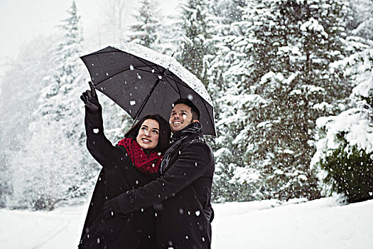 微笑,情侣,伞,指点,风景,树林,下雪