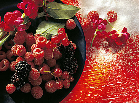 树莓,黑莓,醋栗,糖