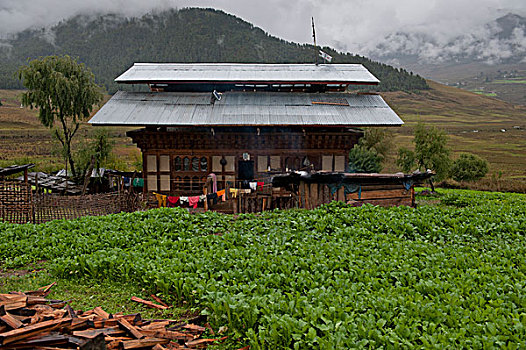 房子,地点,山谷,不丹