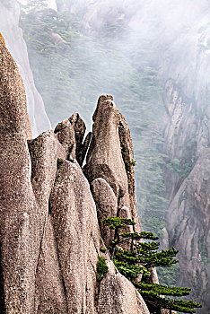 安徽省黄山市黄山风景区犀牛石自然景观