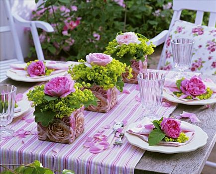 桌子,装饰,玫瑰,斗篷草