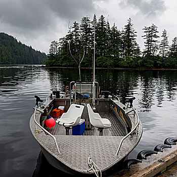 渔船,码头,地区性,地区,岛屿,不列颠哥伦比亚省,加拿大