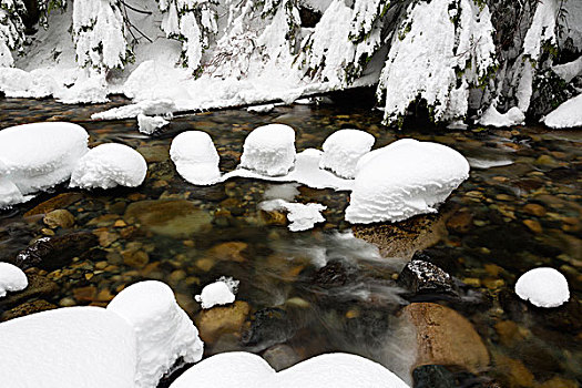 美国,华盛顿,贝克山-斯诺夸尔米国家森林公园,南,河,初雪