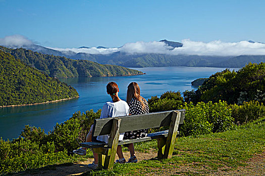 人,远眺,皇后,声音,皮克顿,马尔伯勒,南岛,新西兰