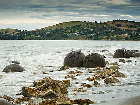 漂石,东海岸,南,新西兰