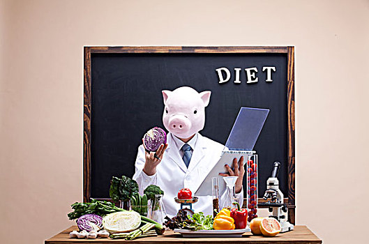 猪,头部,实验,蔬菜