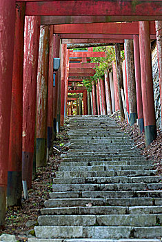 大门,石头,楼梯,高野山,和歌山,日本