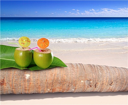 椰树,鸡尾酒,青绿色,加勒比,海滩