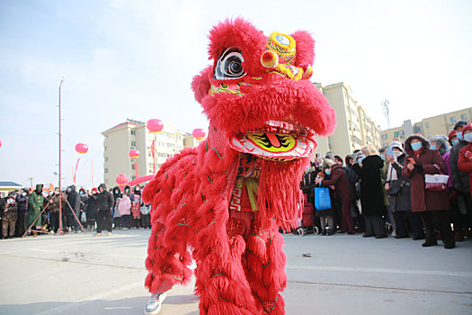 年货大集上醒狮欢腾,市民争相观看抚摸图个好彩头