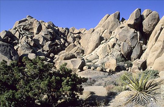 岩石,风景,约书亚树国家公园,加利福尼亚,美国