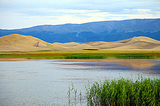 新疆巴里坤鸣沙山湿地