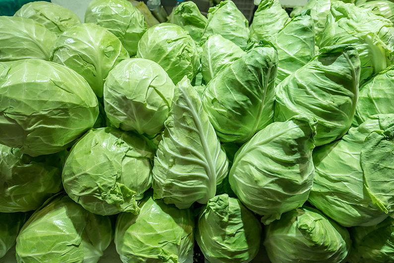 牛心包菜 圆白菜 蔬菜 菜市场 生鲜 有机蔬菜_高清图片_全景视觉