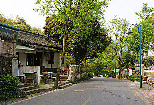 西湖茶乡,龙井