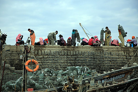 山东省日照市,渔民备战海上春播忙,牡蛎,扇贝养殖正当时