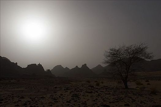 太阳,后面,很多,灰尘,沙漠,风暴