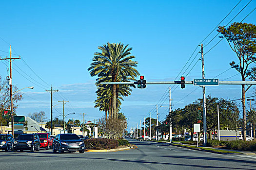 大西洋,海滩,杰克逊维尔,佛罗里达,美国,交通,棕榈树,道路