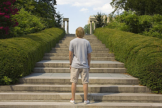 男人,仰视,楼梯,布鲁克林,植物园,纽约,美国