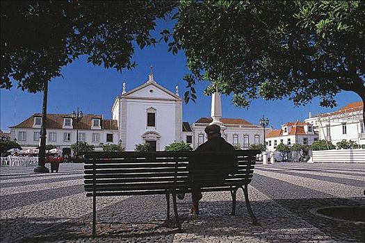 树,阿尔加维,葡萄牙,欧洲