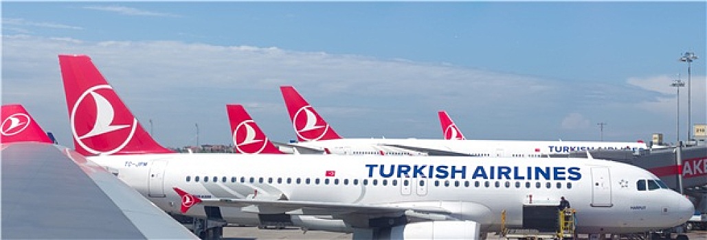 土耳其人,航线,飞机